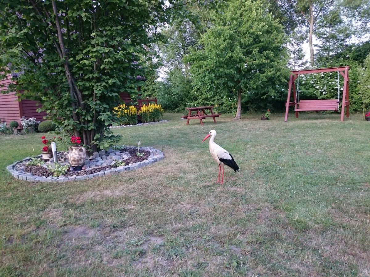 Agroturystyka I Domki Zacisze Jarosławiec Exterior foto