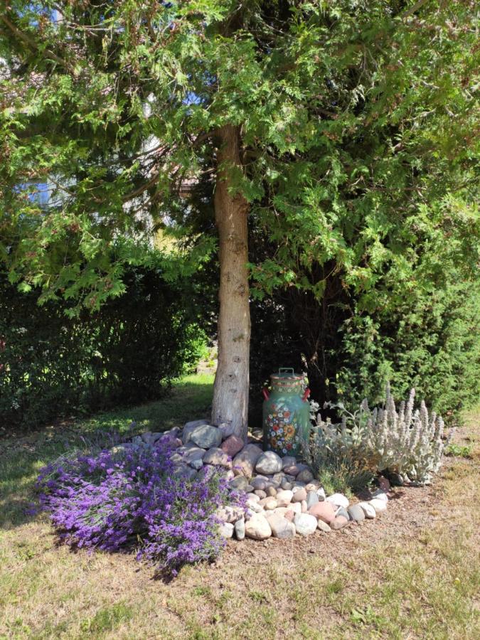 Agroturystyka I Domki Zacisze Jarosławiec Exterior foto